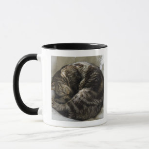 Mug Chat de sommeil