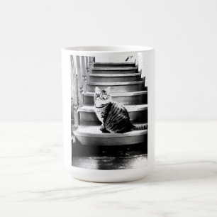 Mug Chat et escaliers