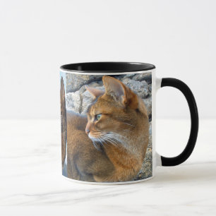 Mug Chat femelle abyssinien vermeil