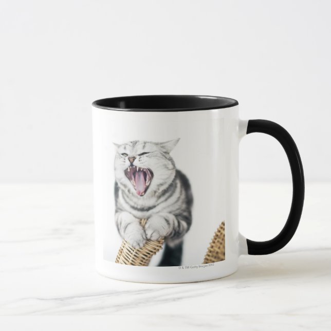Mug chat gris sur l'arrière - plan blanc (Droite)