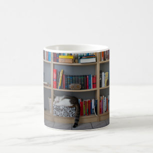 Mug Chat mignon dormant sur des livres de bibliothèqu