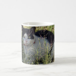 Mug Chat Noir Et Blanc Dans Le Jardin,