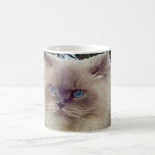 Mug Chat persan himalayen