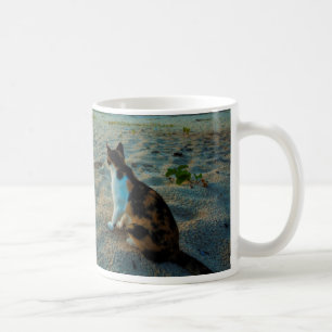 Mug Chat se reposant sur une plage