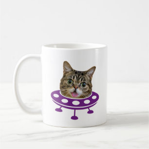 Mug Chat spatial