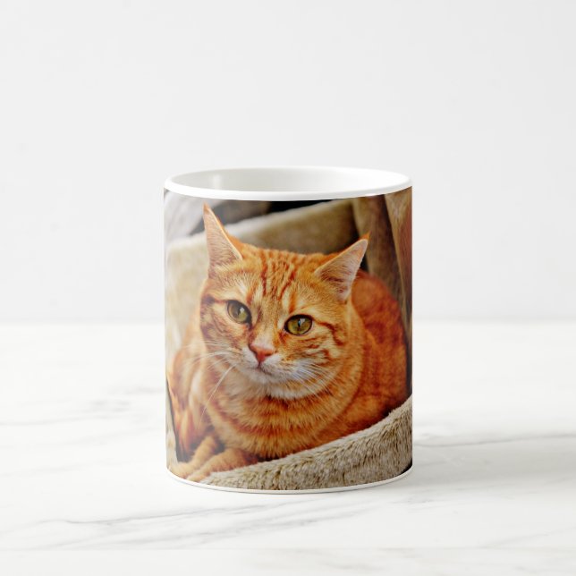 Mug Chat tigré orange (Centre)