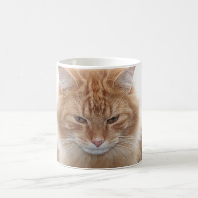 Mug Chat tigré orange (Centre)