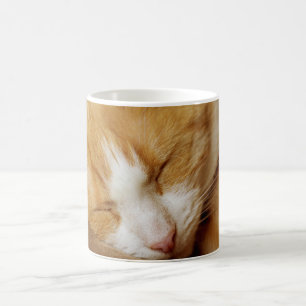 Mug Chaton couchant