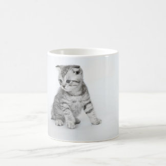 Mug Chaton de pli d'écossais