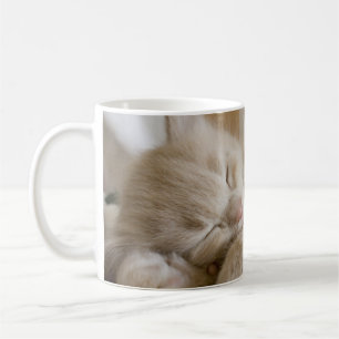 Mug Chaton de sommeil