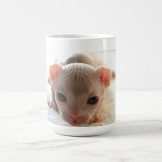 Mug Chaton nouveau-né de sphinx
