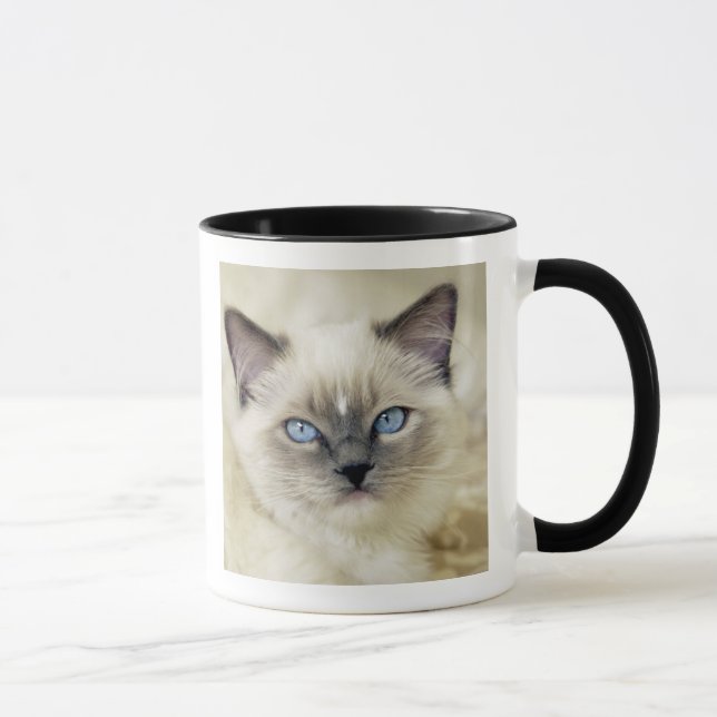 Mug Chaton Ragdoll (Droite)