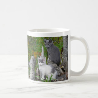 Mug Chatons de Kute