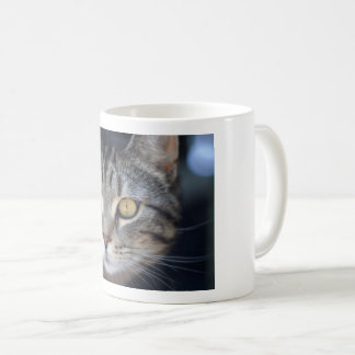Mug chatte