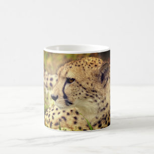 Mug Cheetah