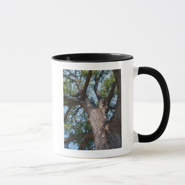 Mug Chêne puissant (Droite)