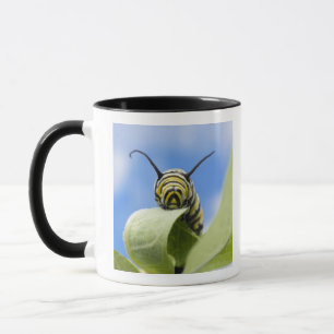 Mug Chenille noire et jaune