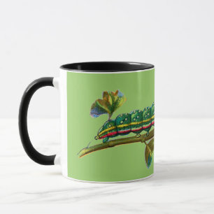 Mug Cherellerie de Calocampa vetusta