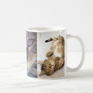 Mug Chestermug
