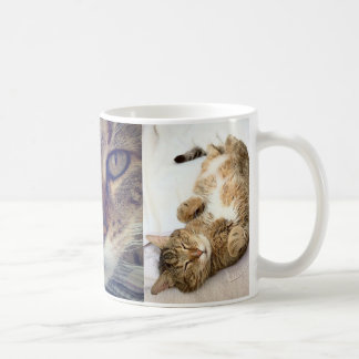 Mug Chestermug