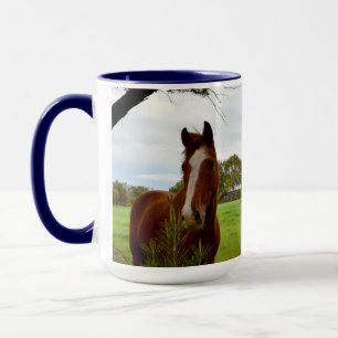 Mug Chestnut Horse Sniffing A Banksia Tree
