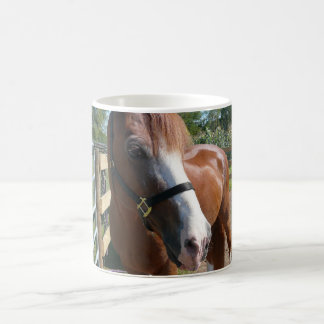 Mug Cheval curieux