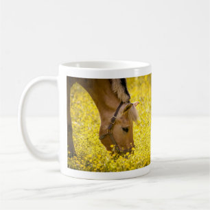 Mug Cheval du fjord norvégien en en coupe à beurre - F