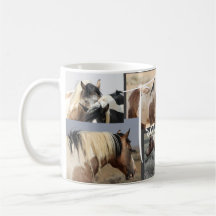 Cheval sauvage du voyageur
