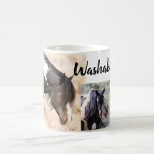 Cheval sauvage Washakie