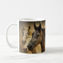 Chevaux sauvages Brown et blancs