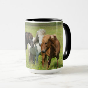 Mug Chevaux sur le Ranch, sud de l'Islande