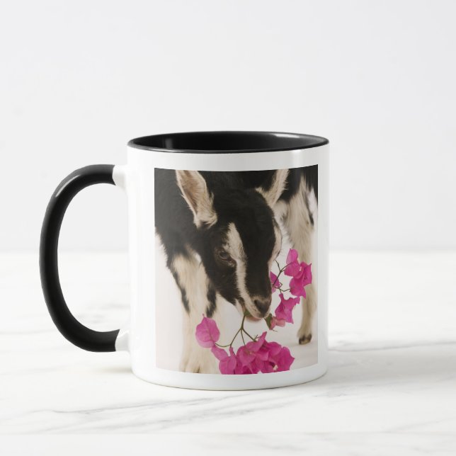 Mug Chèvre alpine britannique domestiquée (enfant). (Gauche)