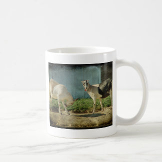 Mug Chèvres laitières