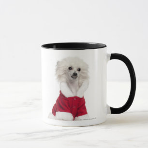 Mug Chien crêté chinois a de port (de 1 an)