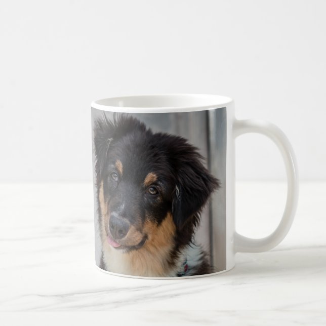 Mug Chien de berger australien (Droite)