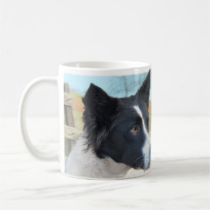 Mug Chien de ranch de border collie