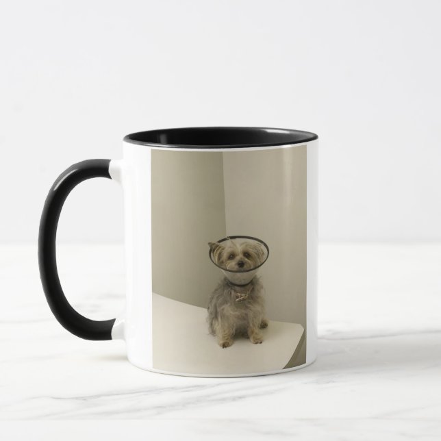 Mug Chien de Terrier utilisant le collier protecteur, (Gauche)