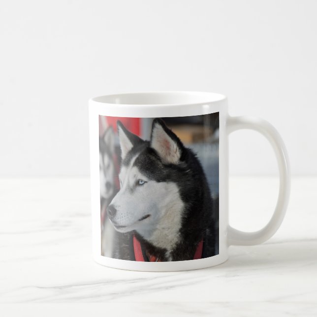 Mug Chien husky avant une course, Canada (Droite)
