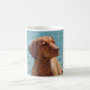 Mug Chien Magyar Vizsla
