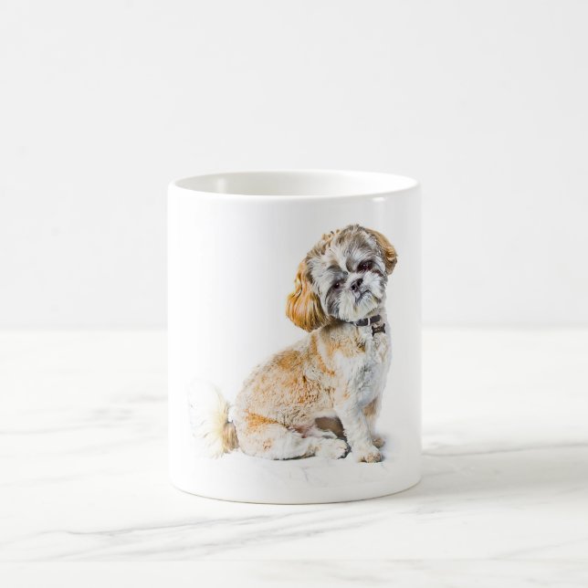 Mug Chien Tzu (Centre)