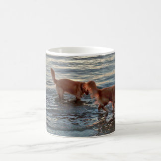 Mug Chiens d'arrêt d'or en mer de coucher du soleil