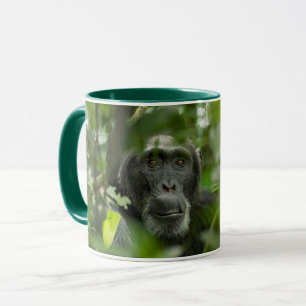 Mug Chimpanzé caché parmi la végétation