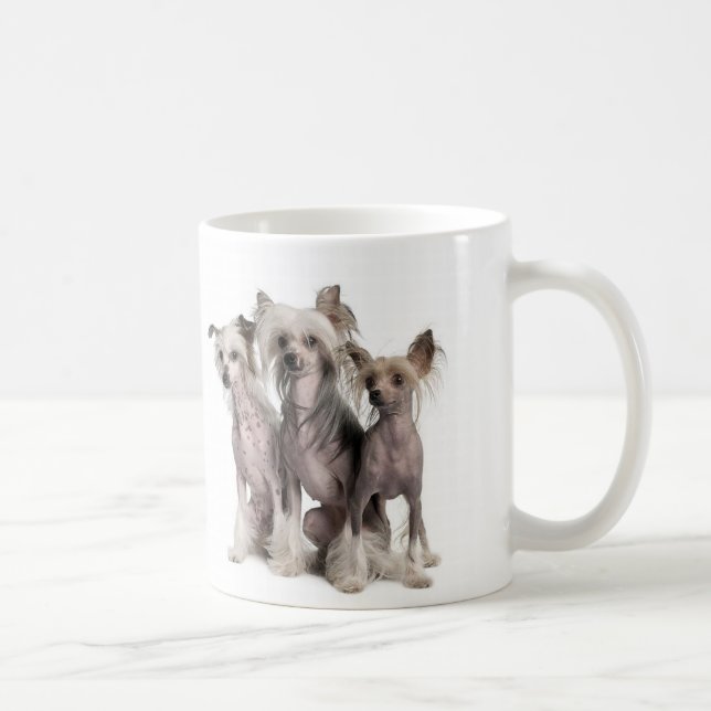 Mug Chinois Crested (Droite)