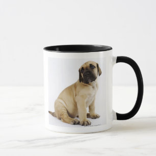 Mug Chiot de great dane se reposant dans le studio