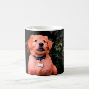 Mug Chiot Golden Retriever