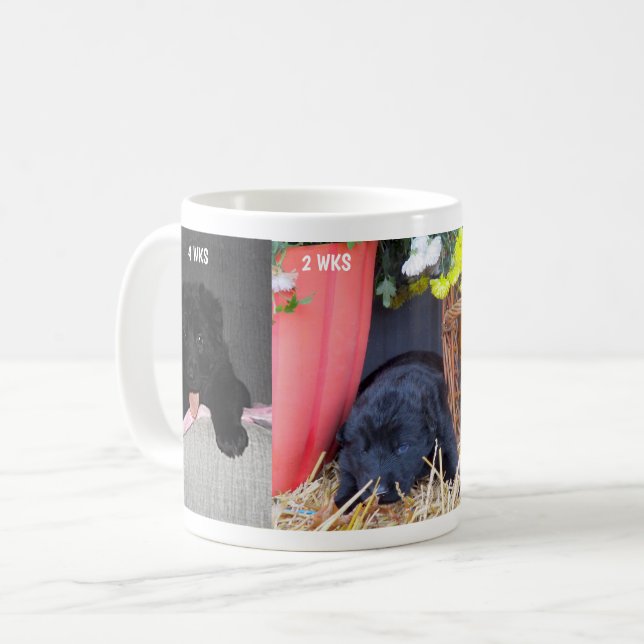 Mug Chiot noir allemand 2 à 4 semaines vieux, ZKA (Devant gauche)