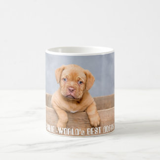 Mug Chiot Pitbull doré | Nom et photo personnalisés