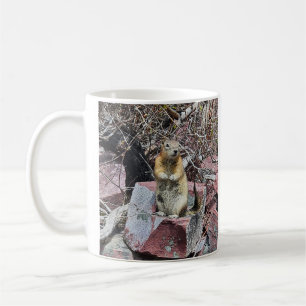 Mug Chipmunk dans le parc national des Glaciers