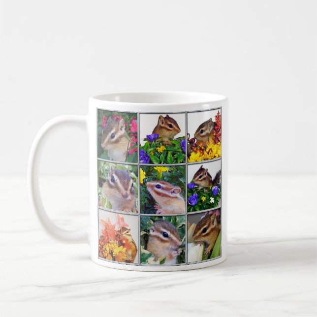 Mug Chipmunk photo　(29) (Gauche)