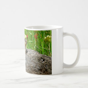 Mug Chipmunks et fleur sauvage